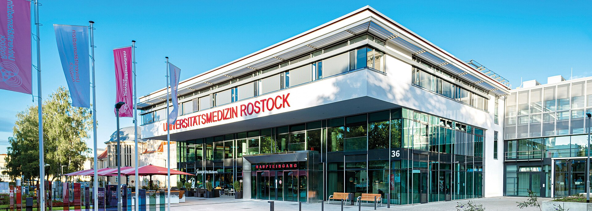 Die Universitätsmedizin Rostock: Hier war Ronald Siems als Oberarzt und Haupttransplantationsbeauftragter tätig. Die Klinik hat ihn nach Bekanntwerden der Äußerungen freigestellt und Strafanzeige erstattet. Korrekte Bildquellenangabe: Foto: UMR Rostock / Wikimedia Commons, CC BY-SA 4.0