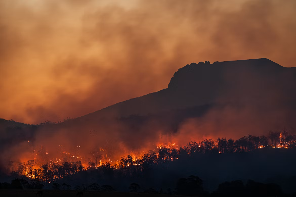Mit steigender Erwärmung nehmen die Risiken für viele Ökosysteme zu. Entscheidend ist dabei nicht allein, ob die globale Temperatur die Marke von 1,5 Grad Celsius zeitweise überschreitet, sondern wie hoch die Erwärmung ihren Höhepunkt erreicht und wie lange sie anhält. (Foto: Matt Palmer)